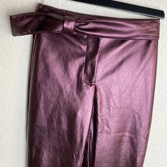 Metallic Pants - Picture 4 of 7